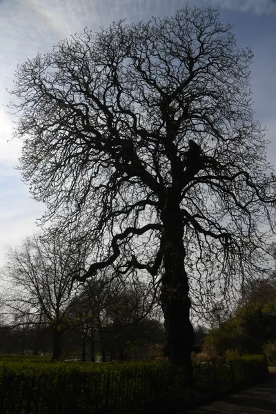 DSC_6867 (Large).JPG